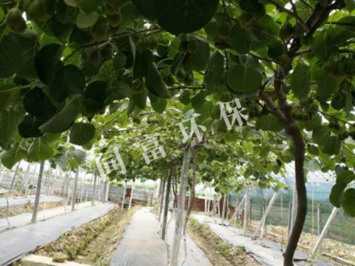 防草布、除草布
