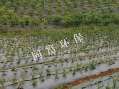 防草布、除草布