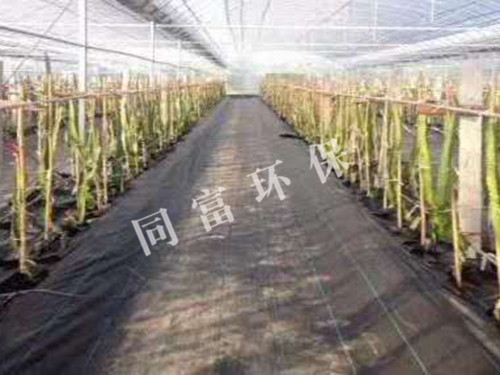 防草布、除草布